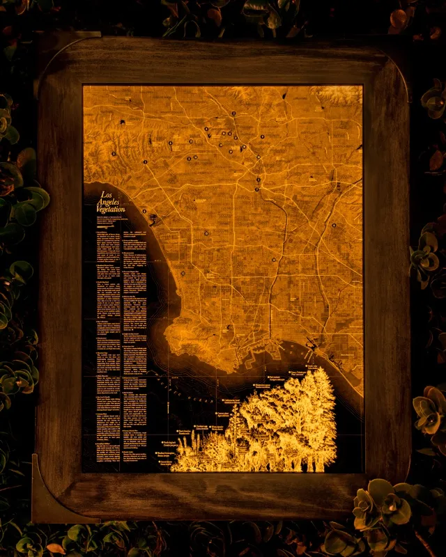 LA vegetation map